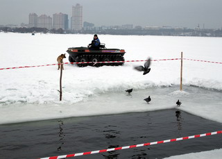 МЧС, собаки и даже птицы охраняют безопасность моржей! (фотка)