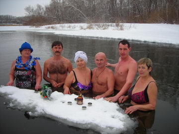 Застолье моржей